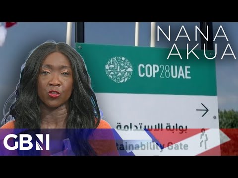 Nana Akua on Cop28: Going green is the colour of money