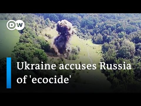 What’s the environmental damage of the war in Ukraine? | DW News