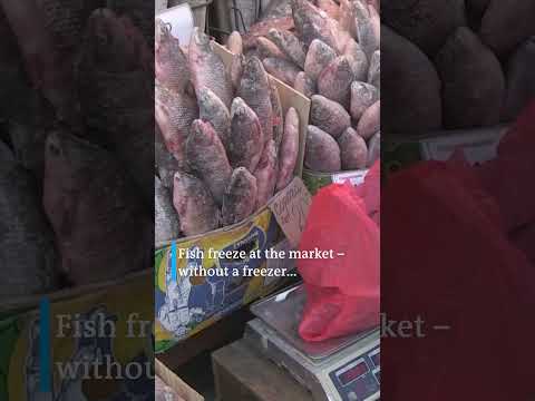 Russia’s Siberia experiences extreme temperatures below -58 Celsius | DW News
