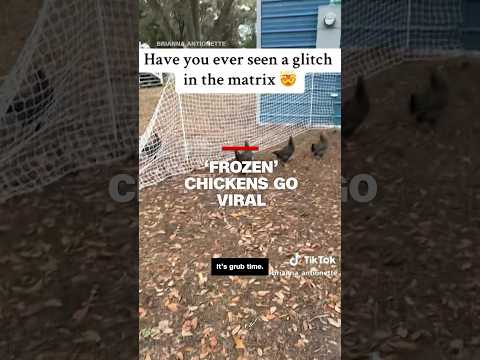 ‘Frozen’ chickens go viral