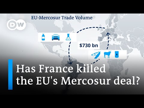 Is the disagreement over the EU-Mercosur deal playing into China’s hands? | DW News