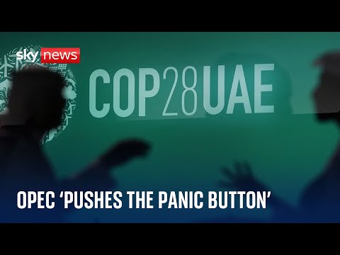 COP28: Activists accuse oil industry of ‘panicking’