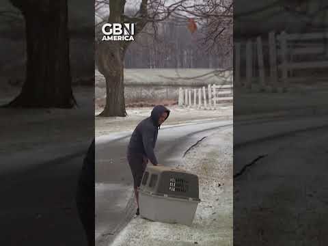 Escaped kangaroo HITS POLICE OFFICER before being captured 🦘