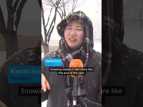 Snowiest December in Seoul in over 40 years | DW News