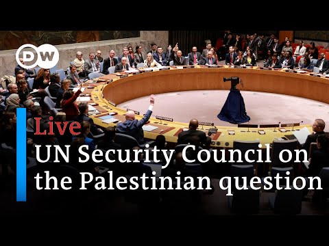 Live: UN Security Council holds session on the Middle East and the “Palestinian question” | DW News