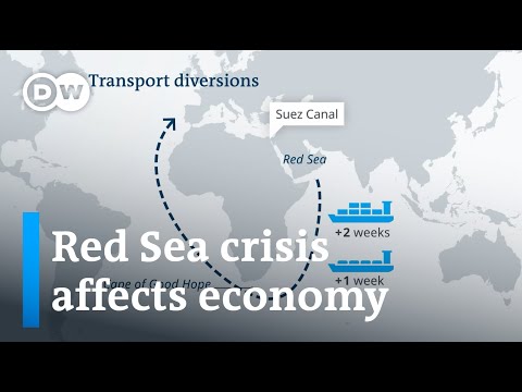 Tesla holds production in Germany over Red Sea crisis | DW News
