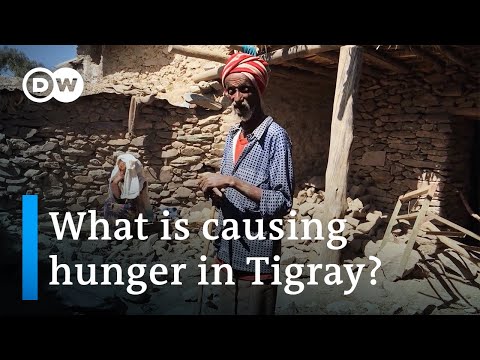 Ethiopia’s Tigray region on ‘brink of famine’ | DW News