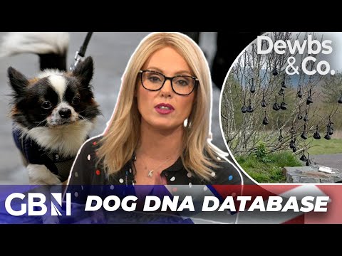 Poodunnit! – Dog DNA database to PROSECUTE messy culprits to be launched in Italy