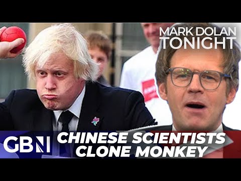 ‘SHIVERS’ – Chinese scientists CLONE monkey