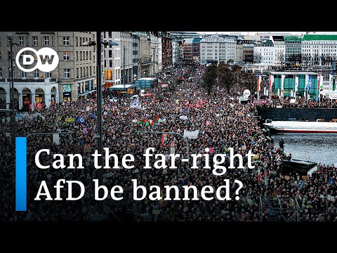Thousands in Hamburg rally against far-right ‘master plan’ | DW News