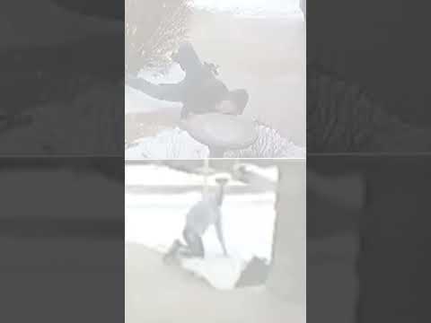 Cops on same force slip on ice simultaneously