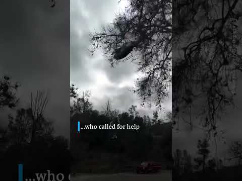 Woman rescued from creek after being stuck with her car for 15 hours | DW News