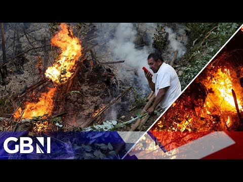 Colombia: Shocking footage shows country RAVAGED by wildfires as natural disaster set to be declared