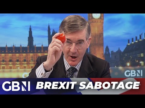 ‘We voted to LEAVE the EU, not become a MINI-EU!’ | Jacob SLAMS govt bureaucrats for Brexit sabotage