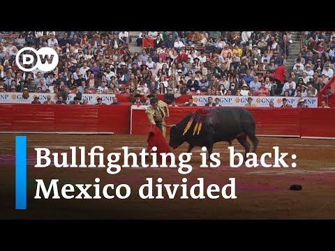 Bullfighting returns to Mexico, divides the country | DW News
