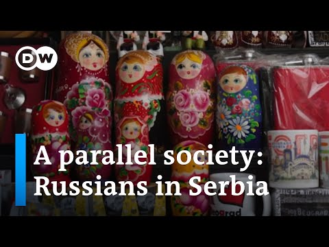 How a Russian community is establishing itself in Serbia | DW News