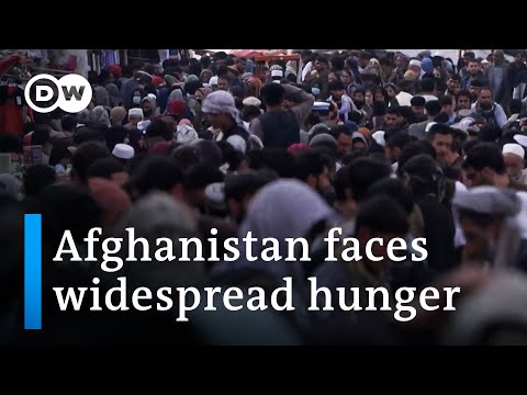 Aid agencies warn of acute hunger in Afghanistan | DW News