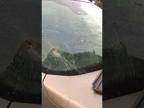 Tornado tears through stables in Belgium