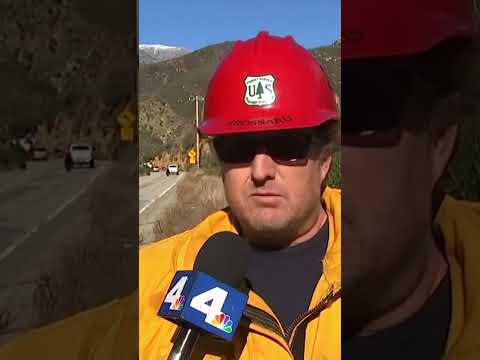 California woman rescued after being trapped in her crashed car for days when it plummeted off cliff