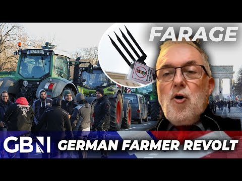 AfD STORMS ahead in polls as German farmers REVOLT against ‘stupid’ government