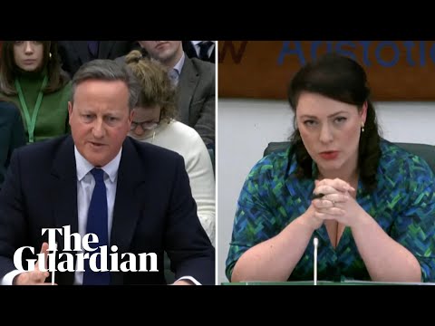 ‘I don’t want to answer that question’: Cameron pressed on Israel-Gaza war crimes