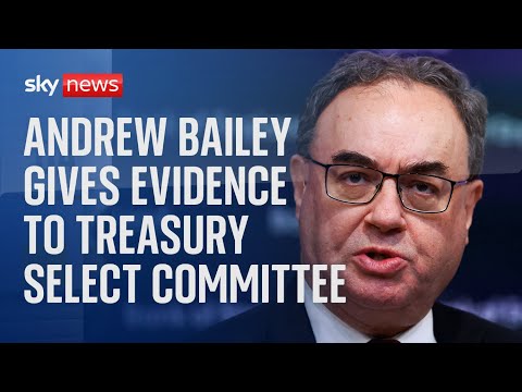 Bank of England Governor Andrew Bailey gives evidence to Treasury Select Committee