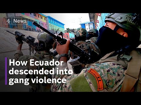 Ecuador violence: President calls for neutralisation of criminal gangs