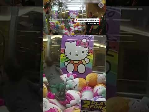 Police rescue child from claw machine