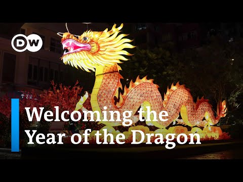 Lunar New Year celebrations have begun | DW News