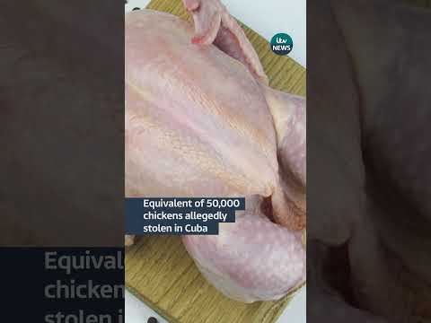 Equivalent of 50,000 chickens allegedly stolen in Cuba #itvnews