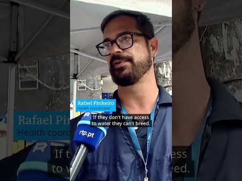 Dengue spreads fast in Brazil | DW Shorts