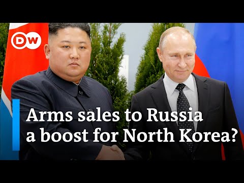 North Korea’s growing economy: Arms sales to Russia a special boost? | DW News