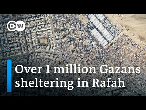 Israeli raids have freed 3 hostages in 4 months: Is the war working? | DW News