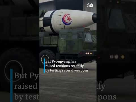 North Korea launches multiple cruise missiles into the sea | DW Shorts