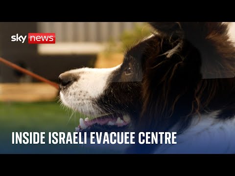 Support dogs and specialist therapy – inside a centre for Israeli evacuees l Israel-Hamas war