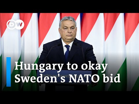 Hungarian prime minister says parliament set to ratify Sweden’s NATO bid later this month | DW News