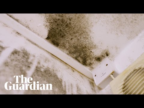 ‘Slums of the 21st century’: one family’s life in a mouldy, overcrowded flat