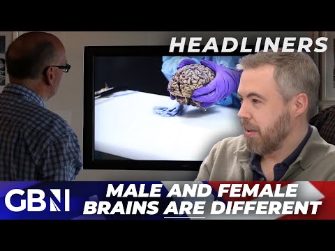 ‘Ron Burgundy WAS right!’ | Stanford boffins discover men and women DO have different brains