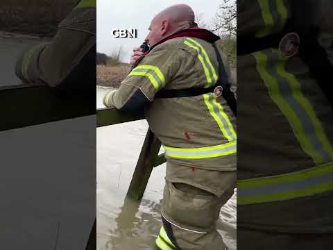 Health and safety GONE MAD as emergency services WATCH CIVILIAN help driver trapped in flooded car
