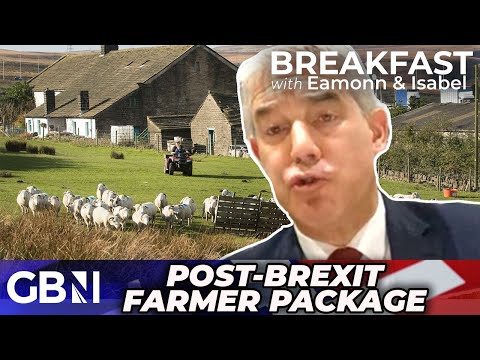 Post-Brexit farmer support has ‘FAILED’ as Tories move to BOOST productivity of British farming