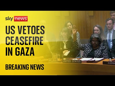 US vetoes UN resolution for immediate ceasefire | Israel-Hamas war
