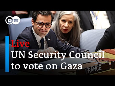 Live: UN Security Council to vote on Israel-Hamas war draft resolution | DW News