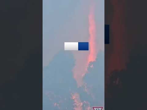 Police in #Australia confirm investigation into a #bushfire that put lives at risk. #skynews