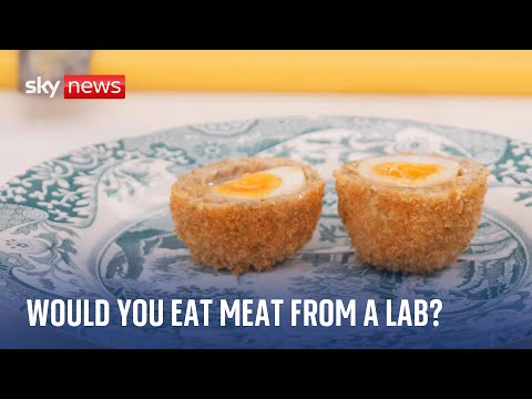 Would you eat meat grown in a lab?