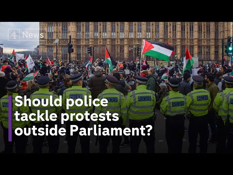 Will police tackling protests outside Parliament keep MPs safe?