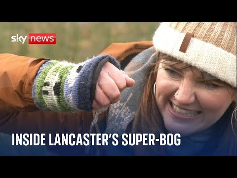 Super-bog created outside Lancaster