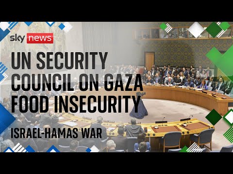 Watch live: United Nations Security Council briefing on food insecurity in Gaza
