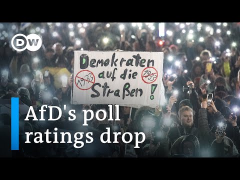 Far-right AfD party in Germany sees drop in polling | DW News