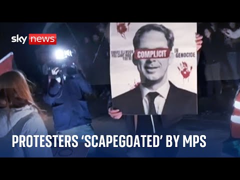 Pro-Palestinian protesters ‘scapegoated’ by MPs fearing for their safety