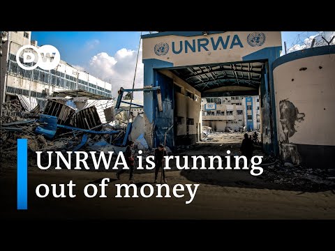 What impact would the collapse of UNRWA have on the humanitarian situation in Gaza? | DW News